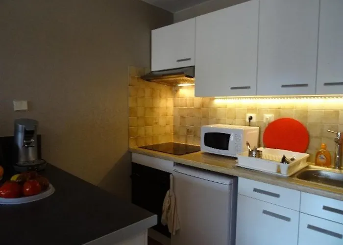 Port : T2 Avec Loggia, Wifi, Parking, Climatisation, 4 Pers., Proche Plaisance - Fr-1-335-164