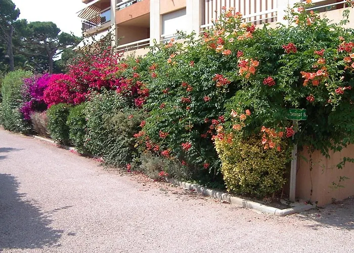 Port : T2 Avec Loggia, Wifi, Parking, Climatisation, 4 Pers., Proche Plaisance - Fr-1-335-164 Lejlighed Hyères